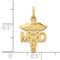 10K Yellow Gold Doctor of Medicine MD Caduceus Charm Jewerly 22mm x 13mm